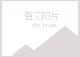 大同夏岚采矿有限公司